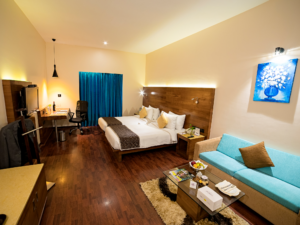 hotel investment companies in india